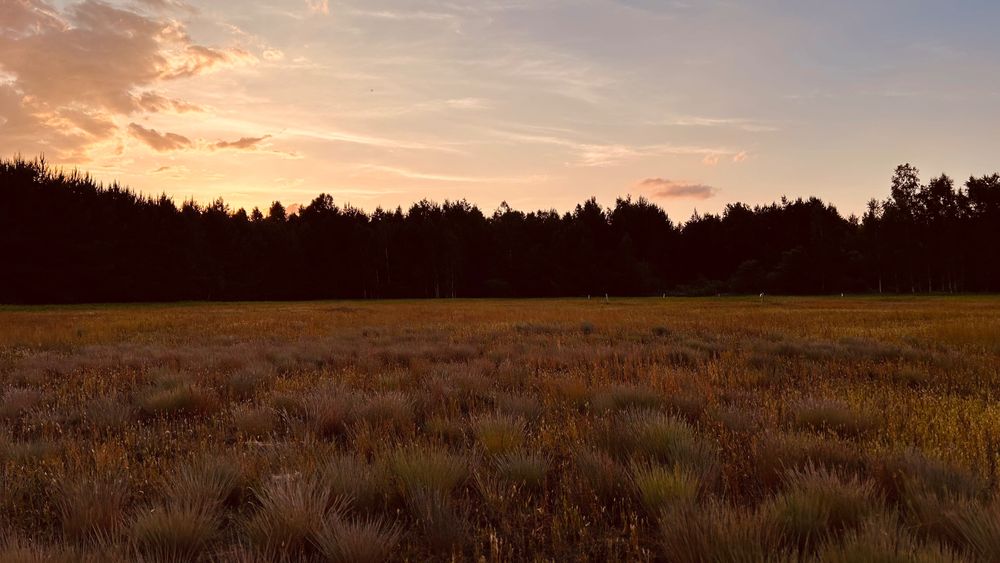 Sprzedam działkę budowlaną - Widok 2