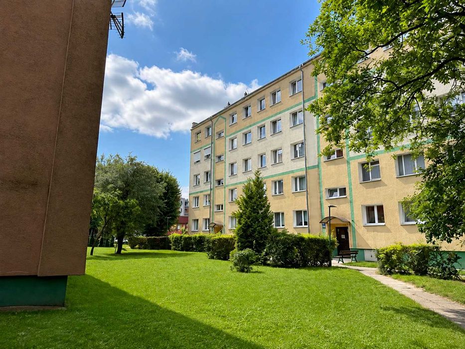 Zdjęcie 8