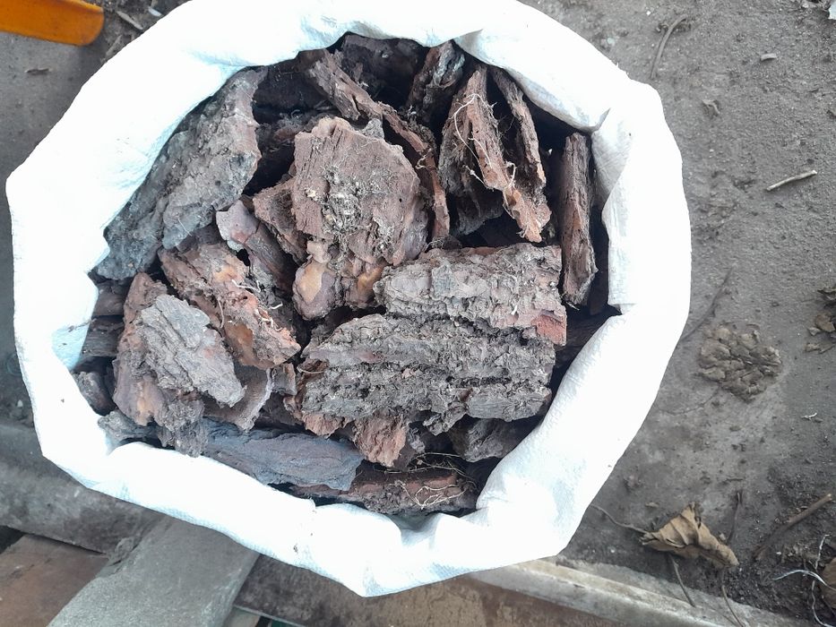 Lote de lenha, casca pinheiro, luvas