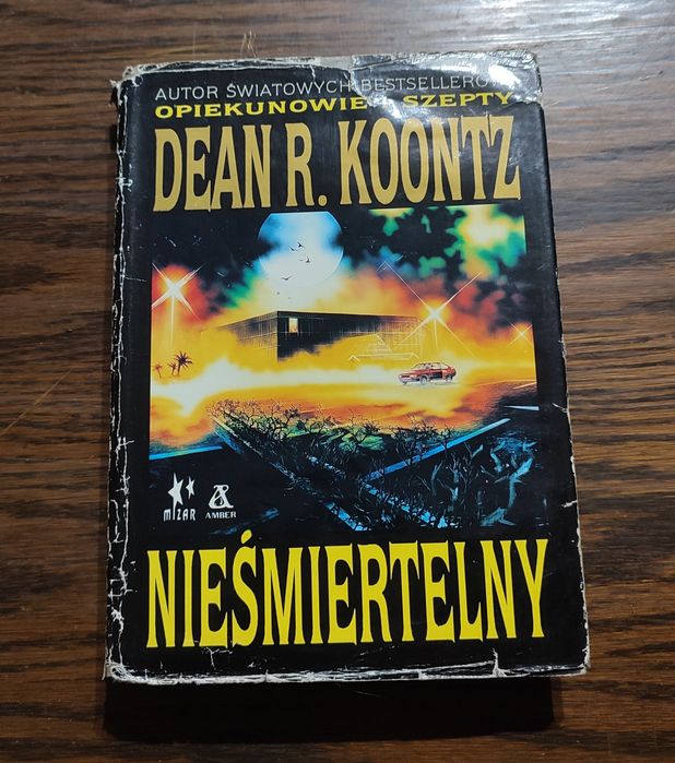 Dean R. Koontz - Nieśmiertelny wyd. I - Amber Mizar 1993