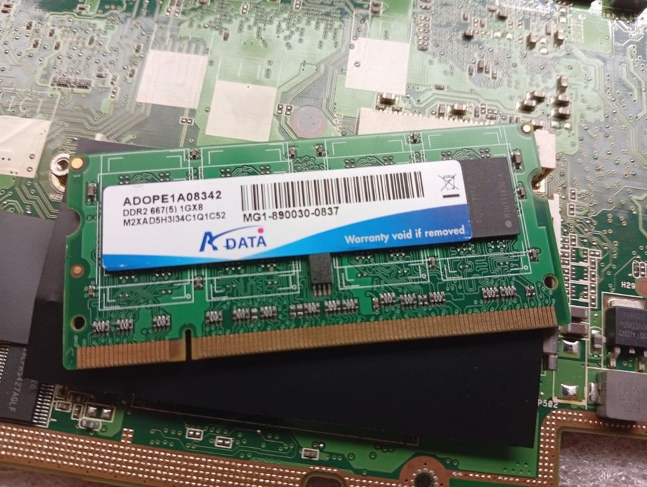 Motherboard Asus 901 1 GB RAM incluído