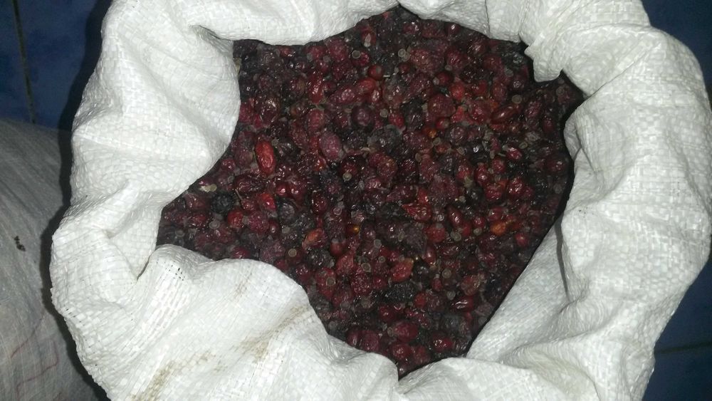 Шипшина  шиповник