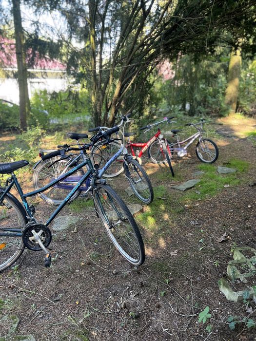 Legnano rower damski