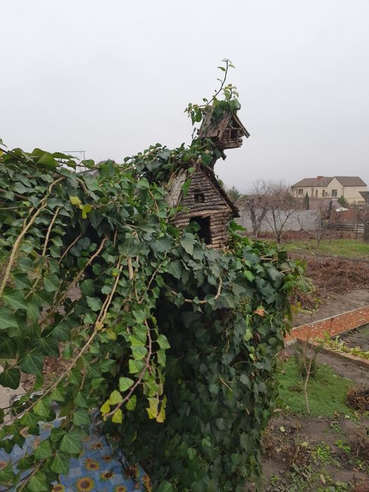 Казкова хатинка для птахів та тваринок. Ручна робота