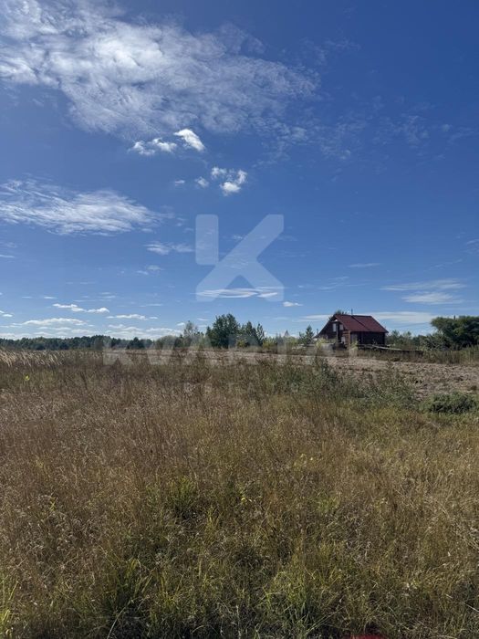 Земельна ділянка в с. Дружня, 15 соток. Вигідна пропозиція
