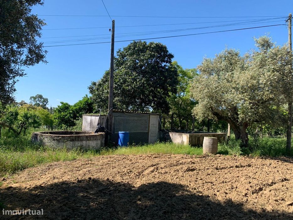 Terreno para Construção — São Vicente Do Paul E Vale De Figueira, Santarém