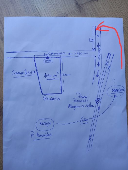 Terreno Pinhal e eucalipto