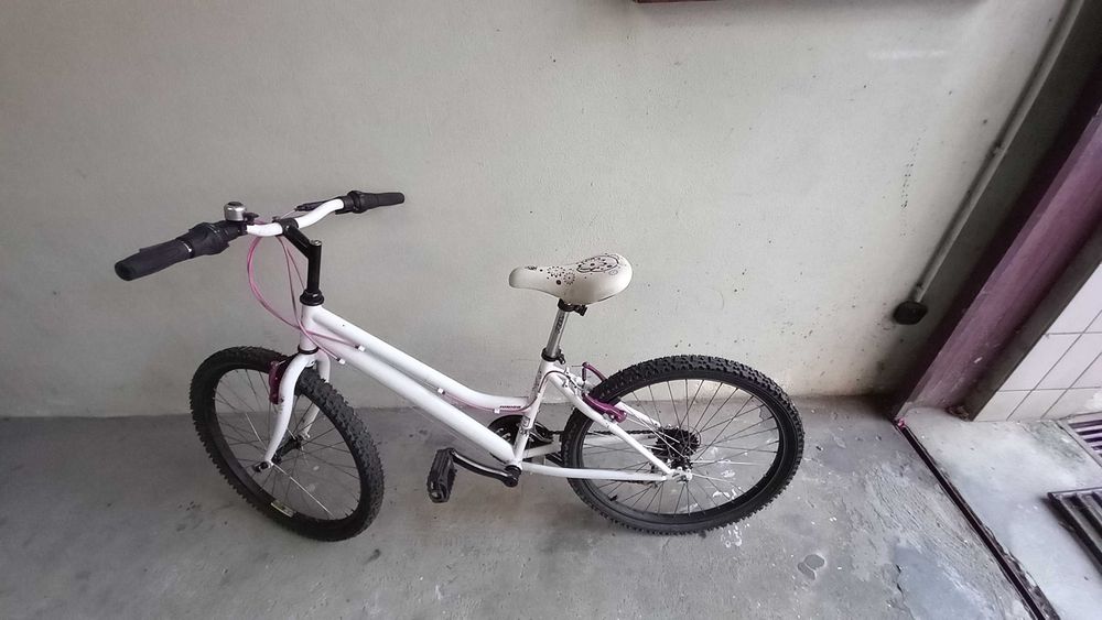 vendo biclicleta Berg junior-roda 24/para rapariga, em bom estado