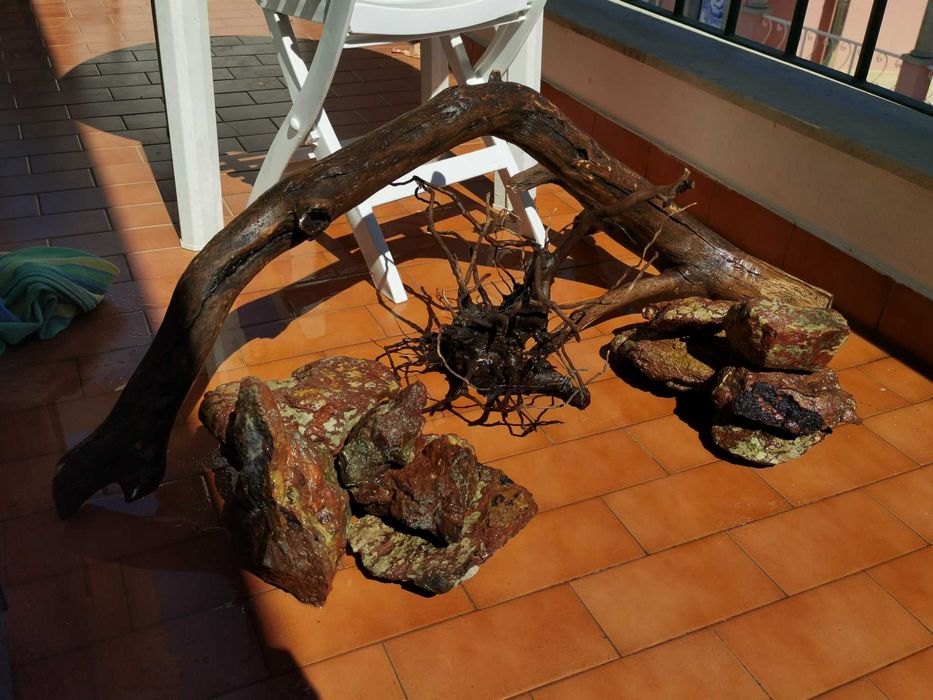 Layout aquário raiz/pedras