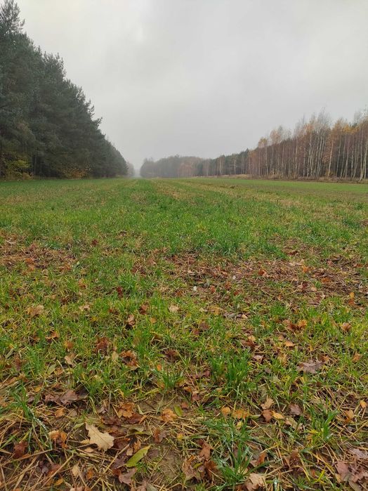 Ziemia rolna 2.4h