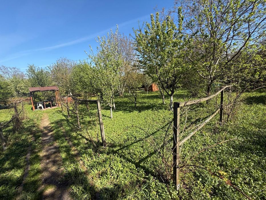 PROMOCJA Działka ROD Mandragora na Saskiej Kępie – 500 m² zieleni i spokoju - Widok 4