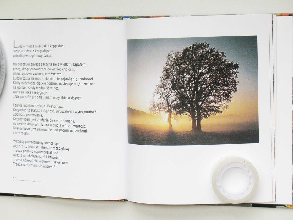 Słoneczne promyki przyjaźni - Phil Bosmans