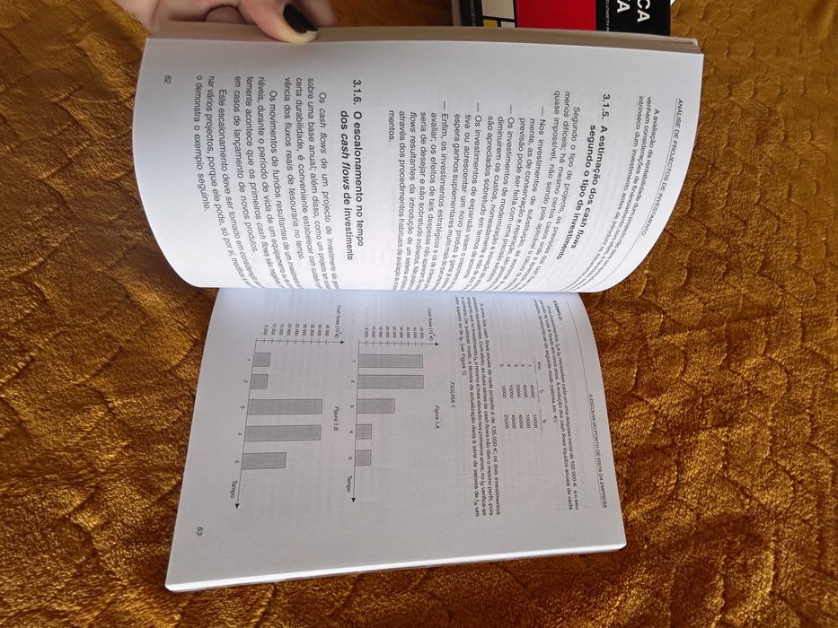 Livro de Analise de Projectos de Investimento