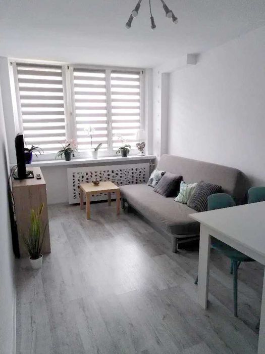 Katowice - Dąb, Super lokalizacja, Słoneczne i komfortowe mieszkanie 2 oddzielne pokoje przy Parku Ślaskim i Silesia City Center!