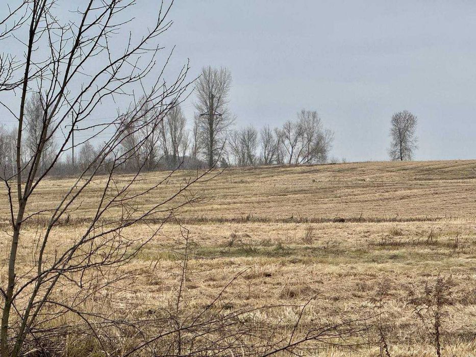 Земельний родючий масив у с. Воронькові ! По привабливій ціні!