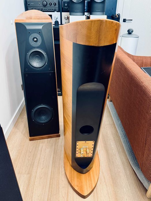 Usher CP-8571 Dancer — тайваньский Hi-End, кроссовер от Dr. Joseph D'Appolito ℹ️ напольная трёхполоска 80 кг, награда TAS Golden Ear | 9 из 10, пара