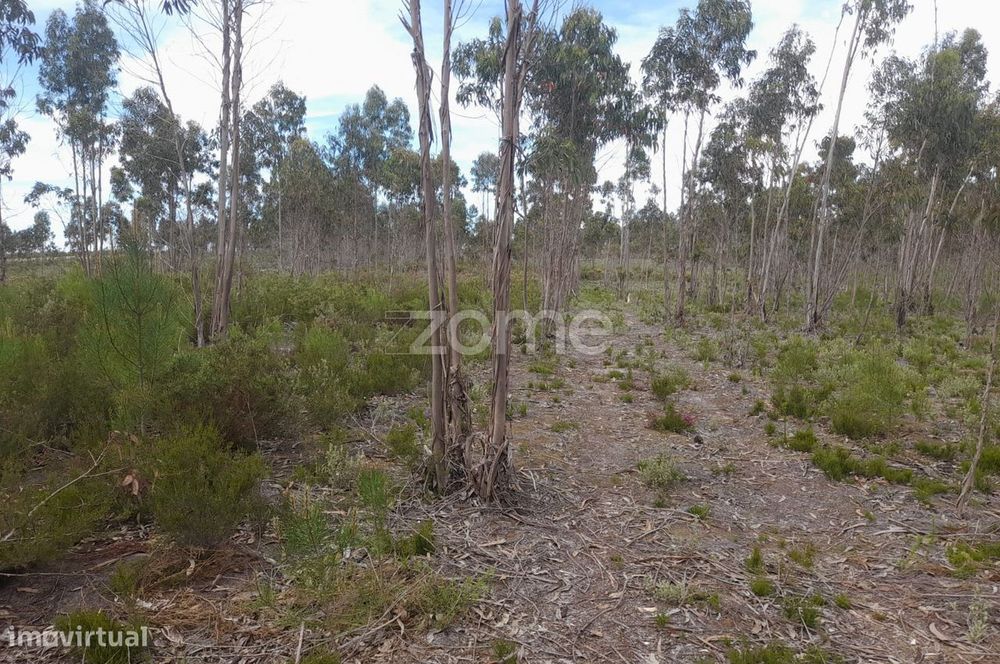 Terreno Rustico com 12580m2