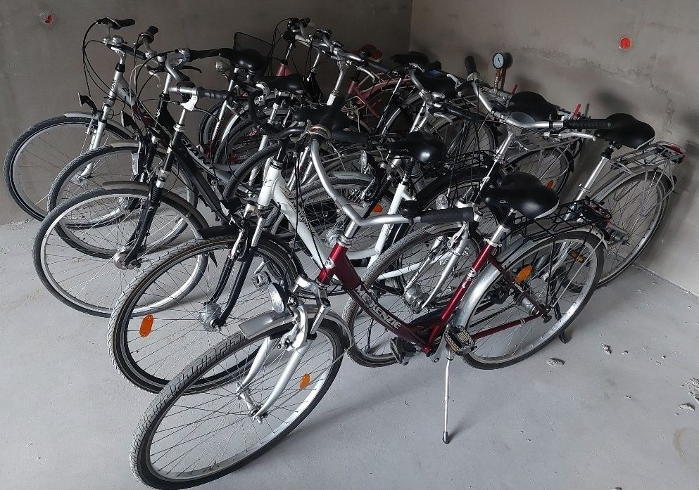 Damki z niemiec Cyco Exileaa herkules Kettler Curtis  i inne