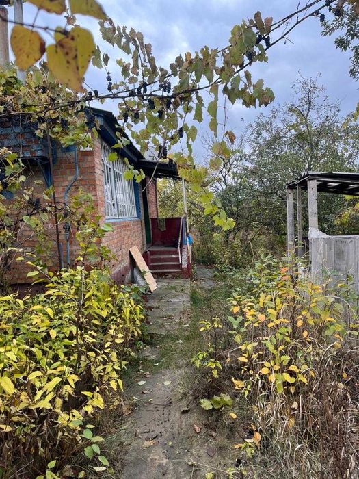 Продам будинок  у Нових Саржарах