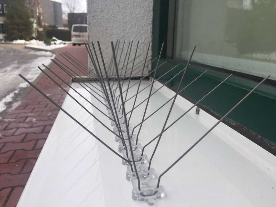 kolce przeciw ptakom odstraszacze ptaków anty ptak