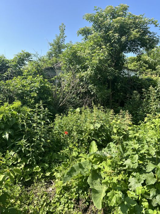 Продам земельну ділянку для будівництва