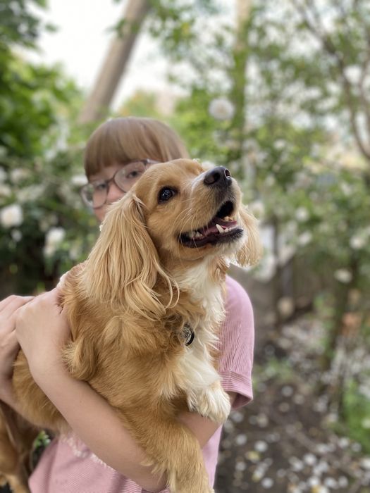 за винагороду!!!