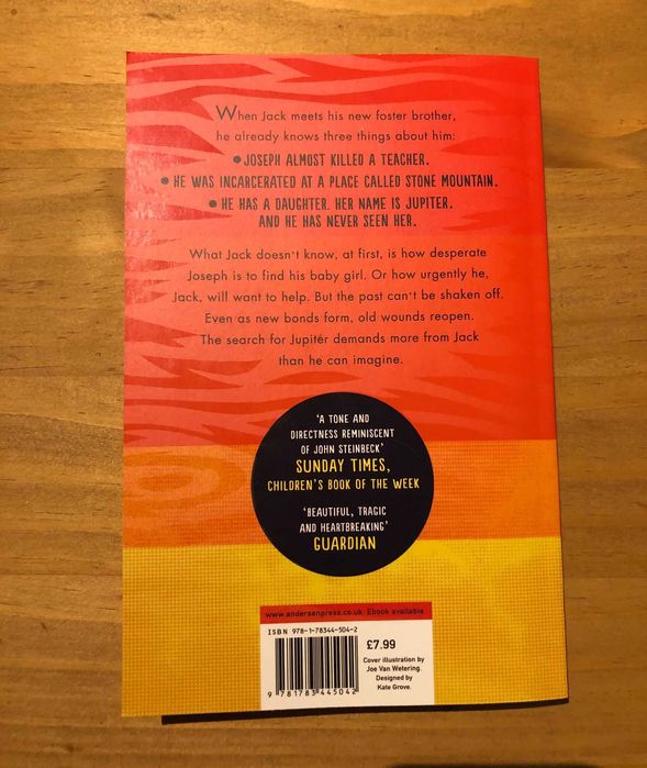 Orbiting Jupiter - Gary D. Schmidt