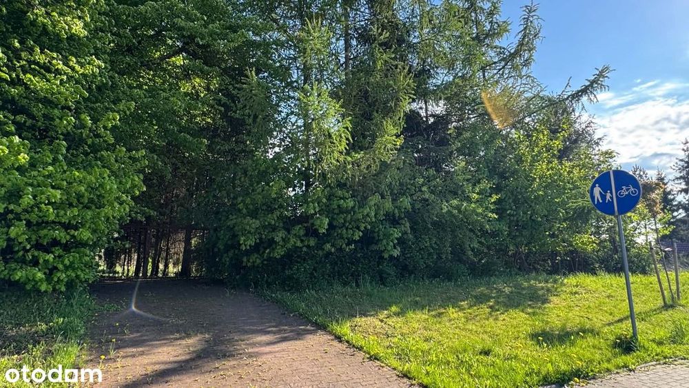 Sprzedam działkę na ul. Chrobrego w Elblągu - Widok 2