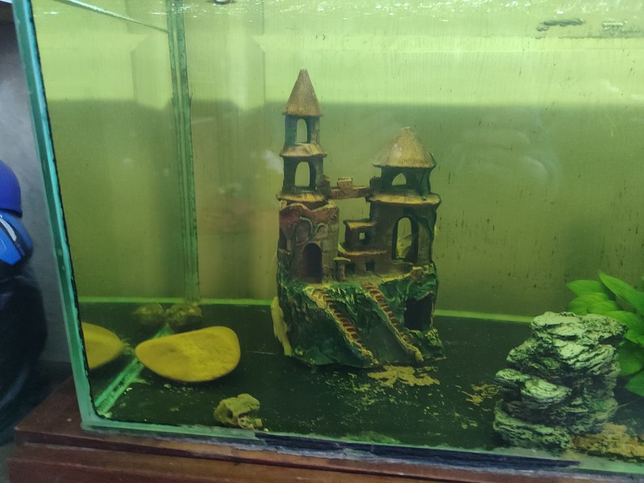 Аквариум с рыбками