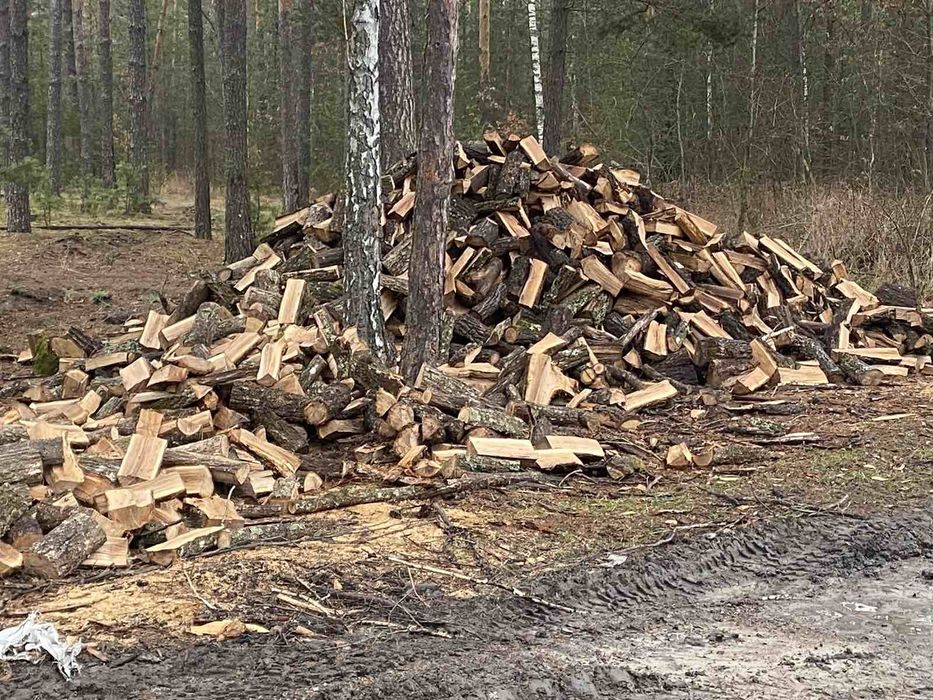 Дрова Колоті,Дуб Граб Вільха Береза,КаміКотел,ДоскаПиломатеріал