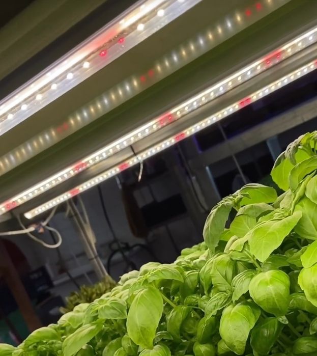 Фитосветильник Samsung LM301H Evo  – 30 ватт