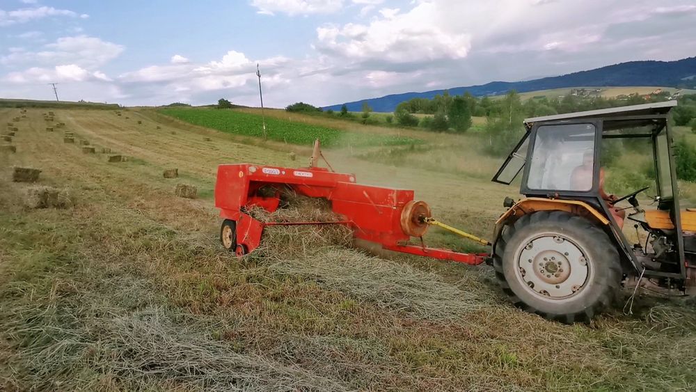 Siano kostka 2025r. Z prasy z224 duże kostki