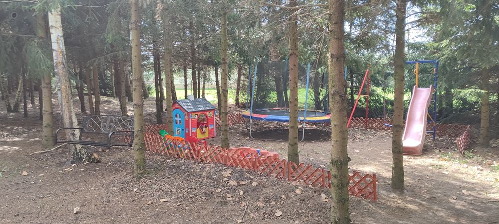 Wynajmę domek dla 4-5 osób na leśej polanie