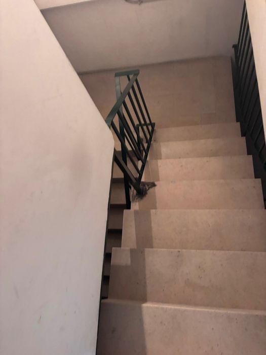 Loja centro coimbra c/armazém e garagem