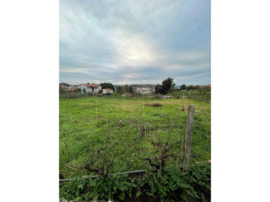 Urban Plot in Borralha