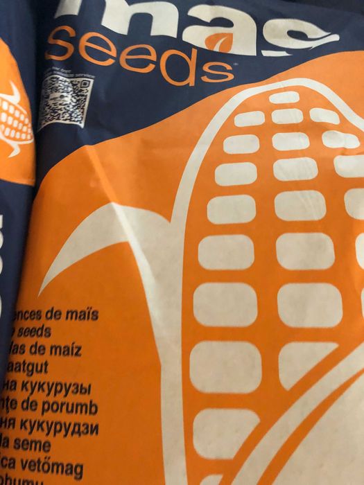 Kukurydza KWS Hypolito , Mas 31 L, ES Inventive, Citadel , DKC 3796