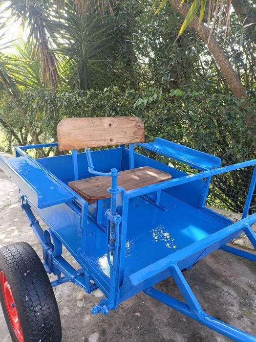 Carroça em bom estado
