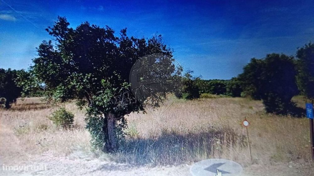 Terreno  para venda — Pedrógão, Santarém