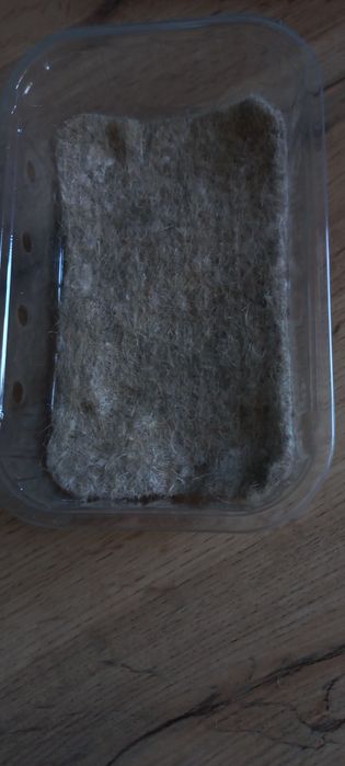 Нові ягідні лоточки, також можна вирощувати мікро зелень