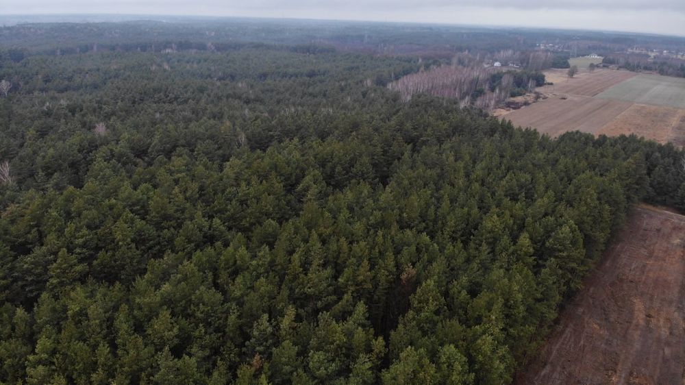 Działka budowlana z warunkami zabudowy