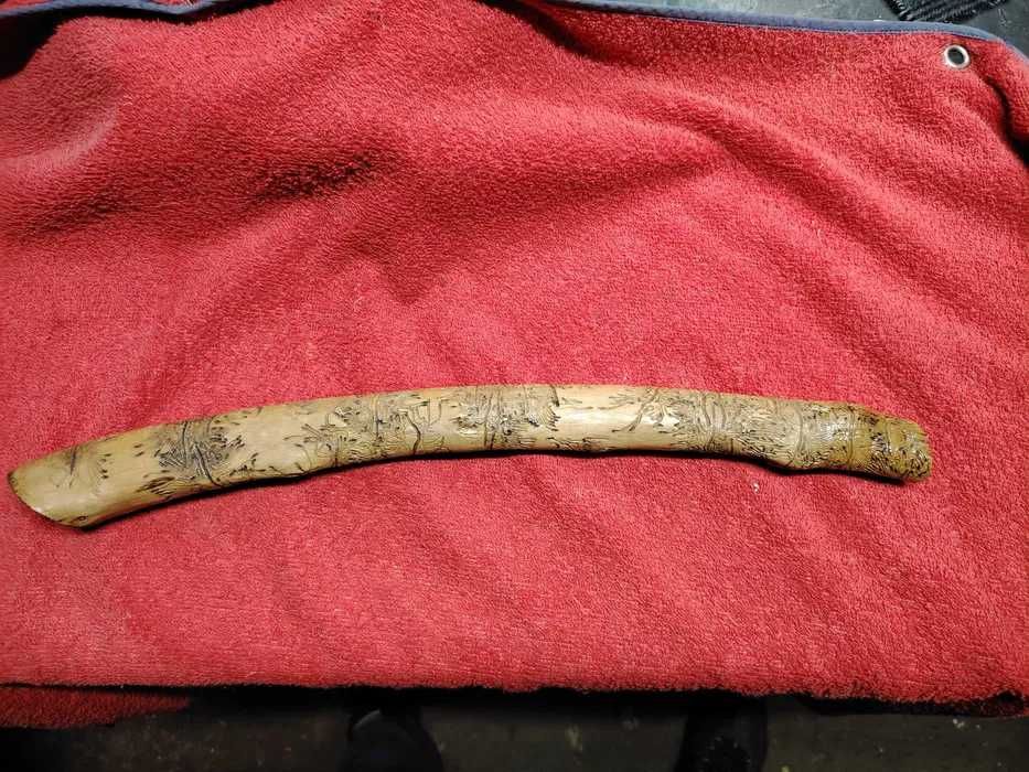 Pau de oliveira trabalhado por bicho da natureza