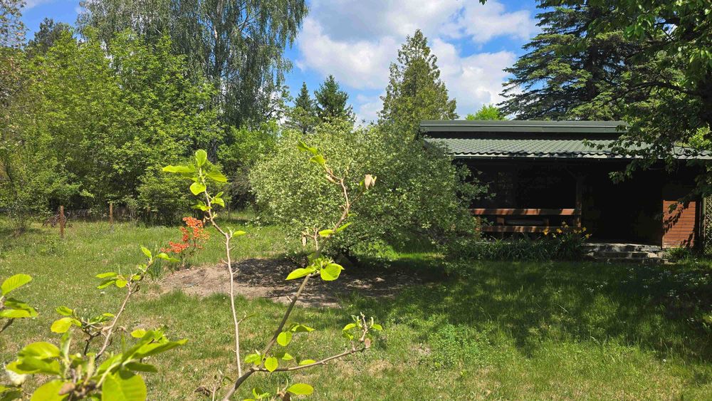 Okazja! 2 działki w cenie jednej. Działka 800 m² (2x400) w ROD Elektron, Szczaki – Domek letniskowy i media - Widok 4