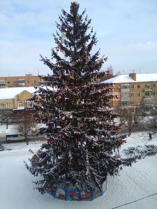 квартира посуточно почасово центральна частина міста европейска 21