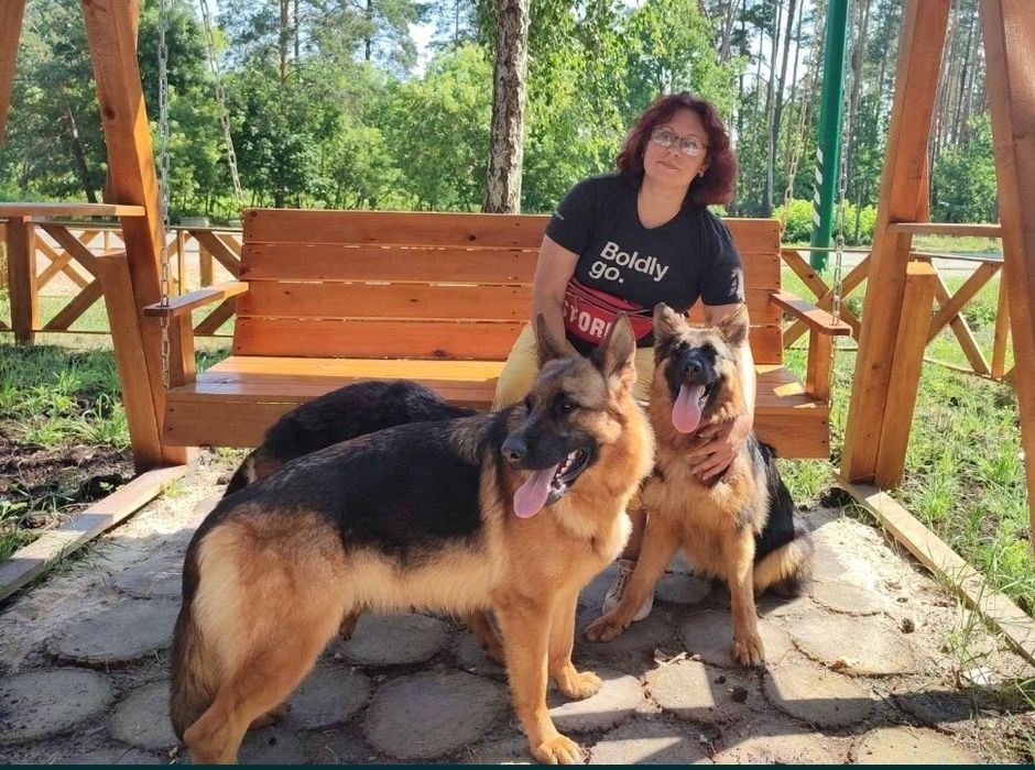 Цуценята Стандарт Розплідник