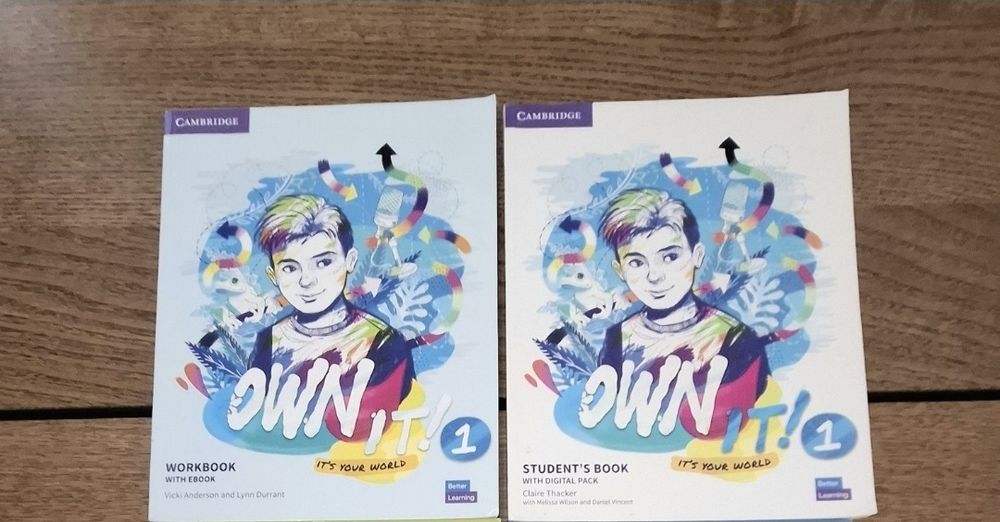 6° Ano Inglês Own It