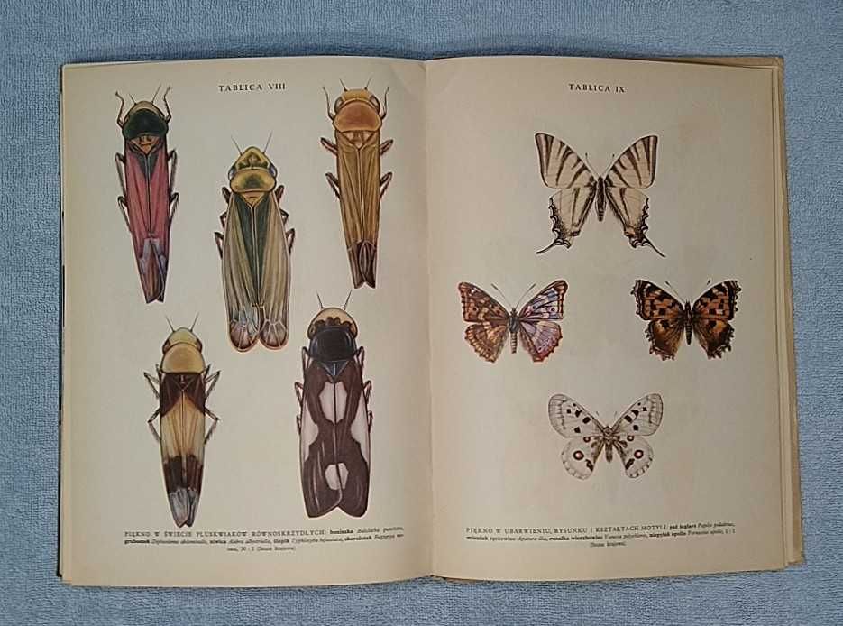 Dzieci słońca i dzieci mroku 1957 Jan Jerzy Karpiński