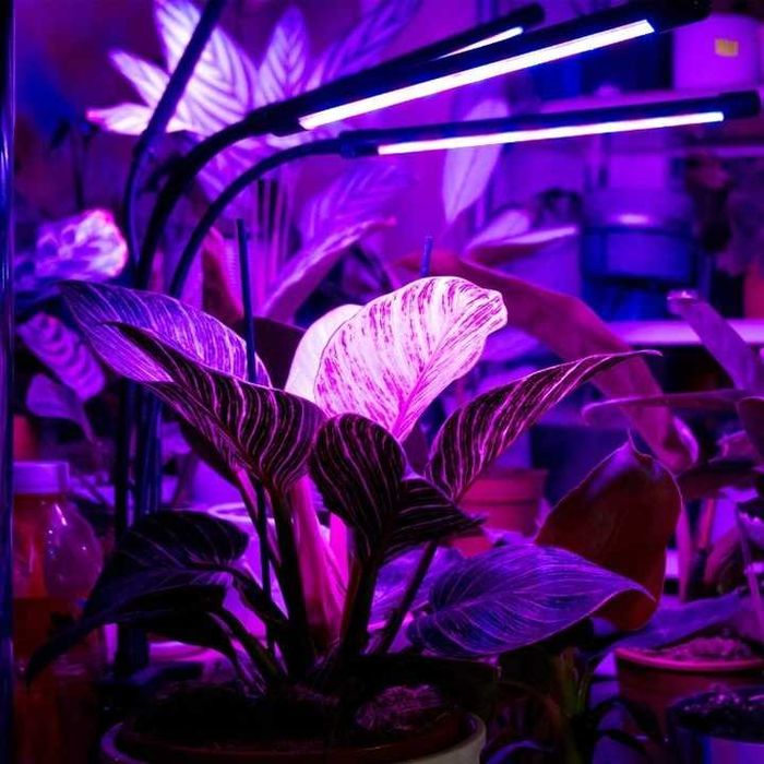 LAMPA DO UPRAWY ROŚLIN wzrostu roślin kwiatów potrójna lampa