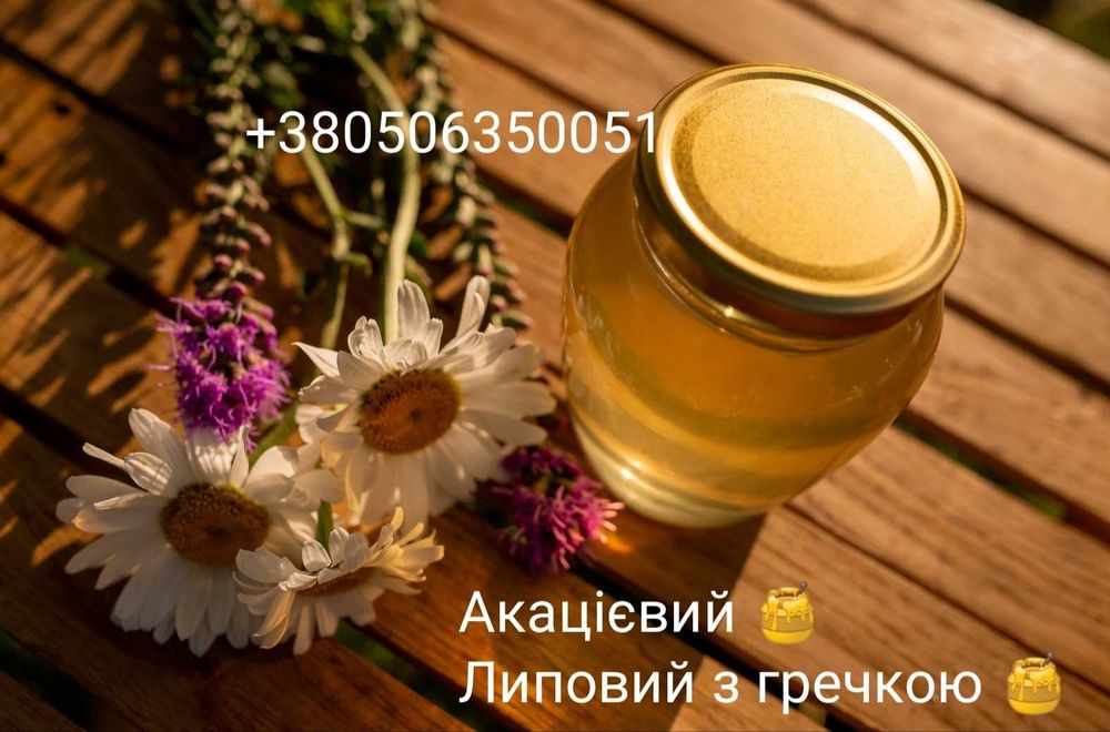Мед акацієвий липовий гречаний мед в сотах пилок перга vtl