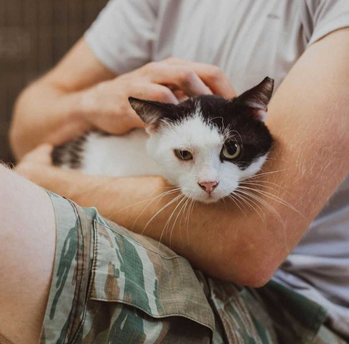 Stefan, słodka pierdoła szuka domu