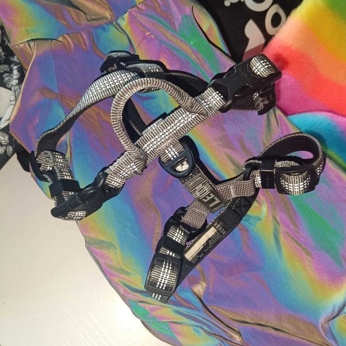 Szelki typu guard dla psa Truelove Lumen Lite